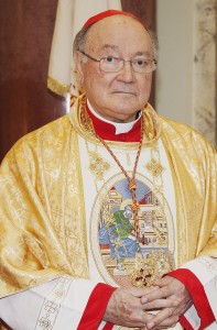 Cardinal Martino 2